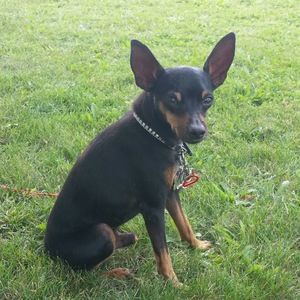 Meet your Posher, Kimberly